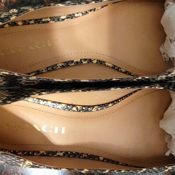 Coach Flats Snake Print - Picture 3 of 7